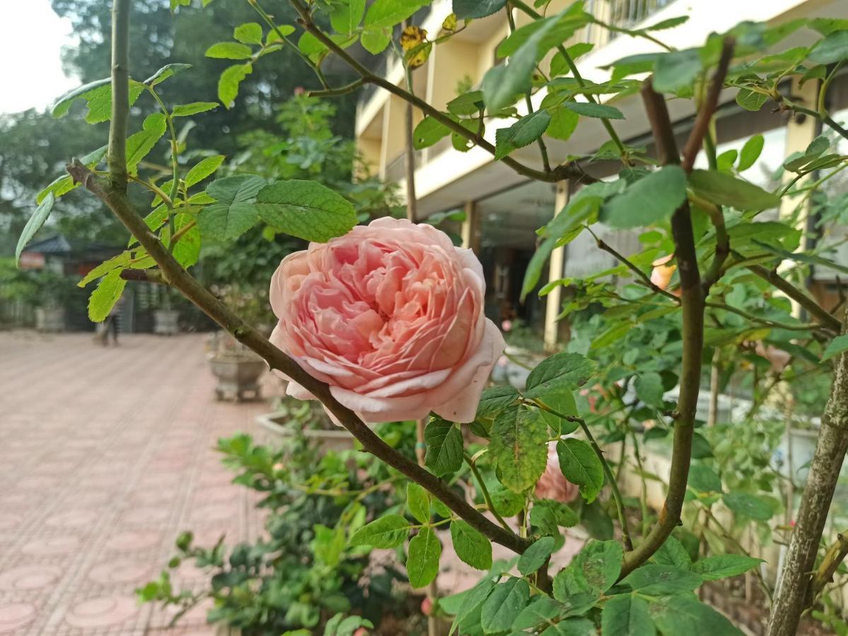 Aku House Villa Ao Vua Ba Vi Dış mekan fotoğraf